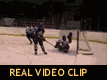 Sisca converts a breakaway feed from Stoyan.